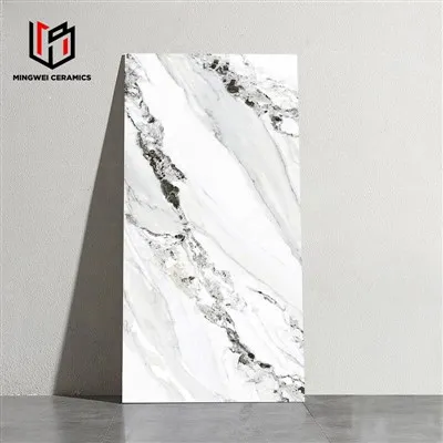 Azulejos Polidos Luxuosos Brancos